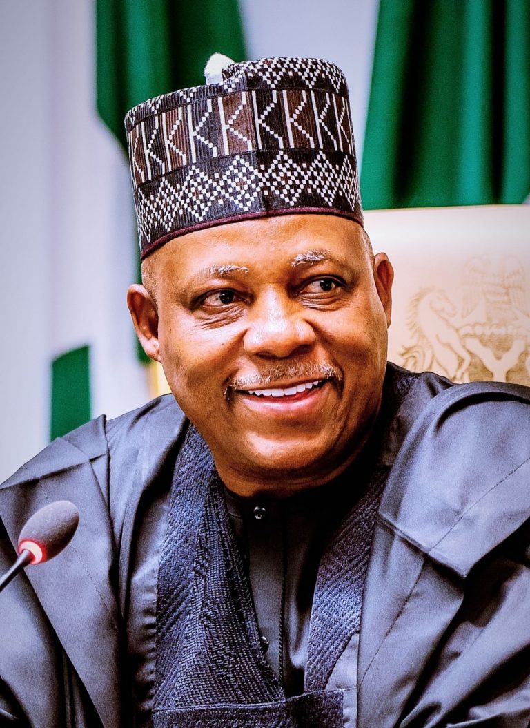 Alleged defamation: lawyer petitions IGP over ‘malicious’ libelous publications against VP Shettima