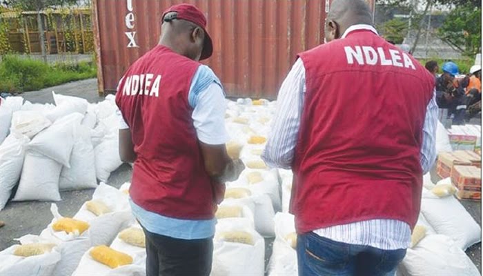 NDLEA raids Lagos nightclub’s drug party, arrests, detains 100 VIPs
