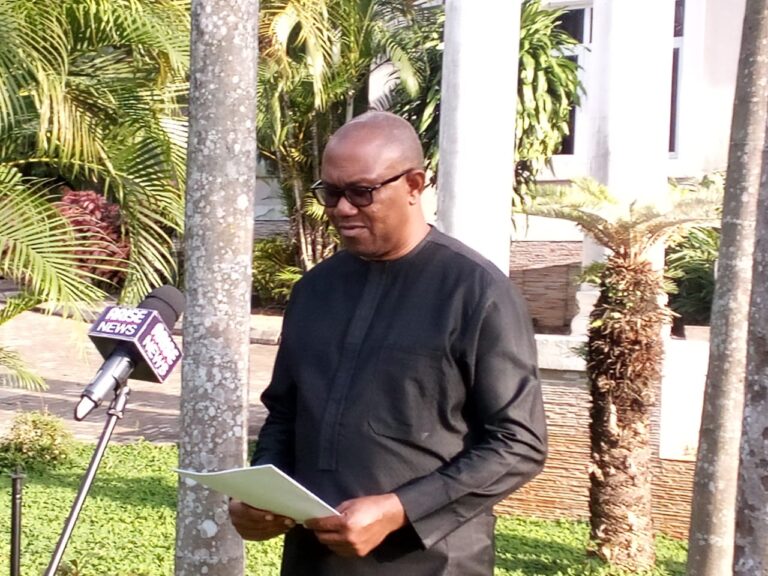 June 12: Nigeria has degenerated to state capture, says Peter Obi