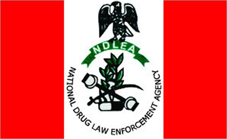 NDLEA uncovers drugs hidden in candles, ladies wears