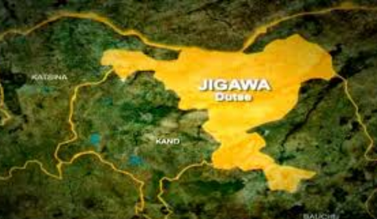 #EndBadGovernance: Police nab 277 suspected looters in Jigawa