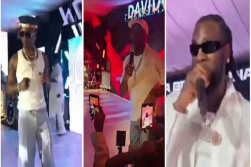 Wizkid, Davido, Burna Boy perform at Tony Elumelu’s ‘All White party’