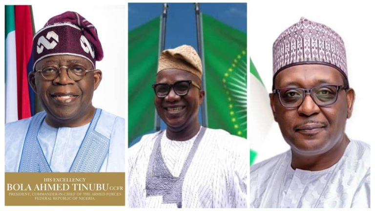 The Causes of High Mortality Rates in Nigeria’s Health Care Delivery System