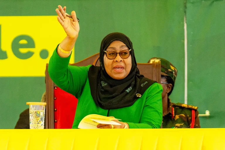 President Suluhu declared winner of Tanzanian election amid widespread violence