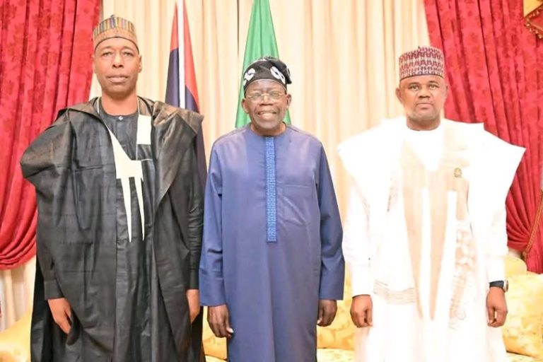 2027: Zulum presents Borno APC guber candidate to Tinubu