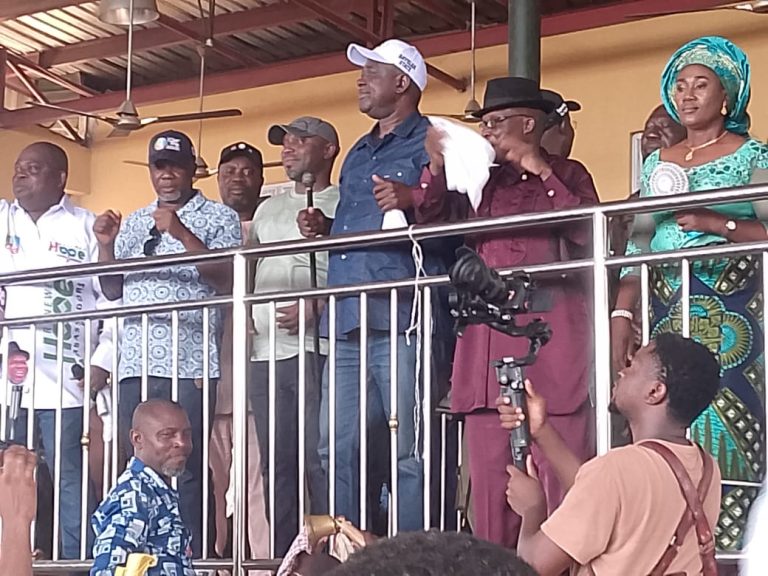 APC presidential primary peaceful, successful in Ekeremor — Lokpobiri
