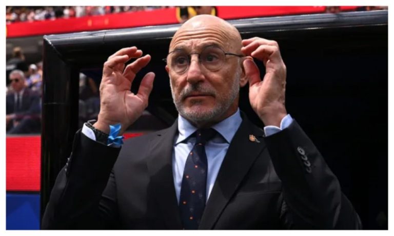 World Cup final: Spain coach, De la Fuente expresses concerns over FIFA’s selection of referee
