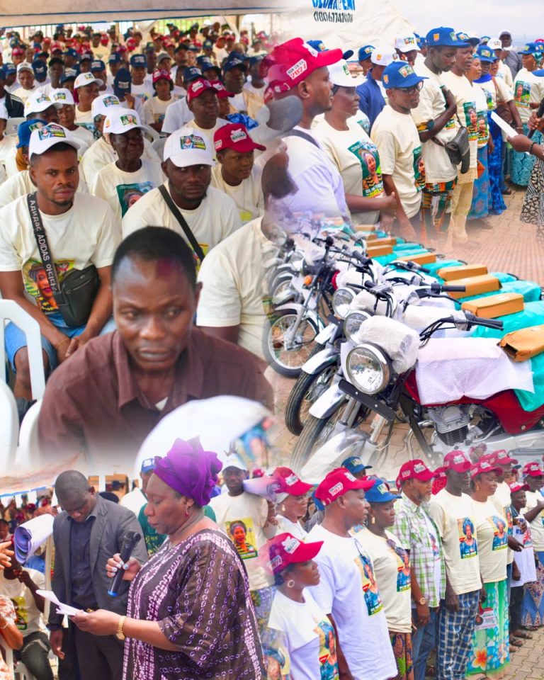 Iyabo Obasanjo’s Big Move: 370 Coordinators, Motorcycles and a New Battle Plan for Ogun Central