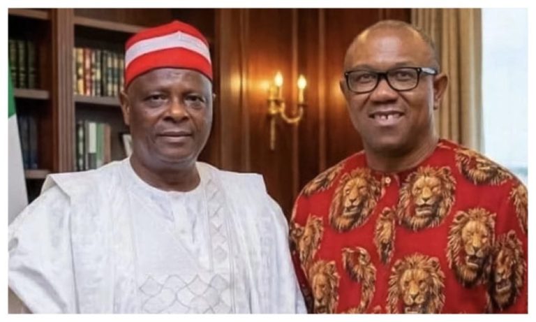 2027: Obi, Kwankwaso to nominate NDC’s Presidential Campaign Council’s key members