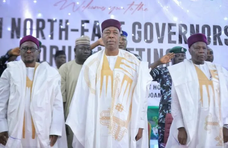 Revive oil exploration in Borno, North-East Govs tell Tinubu